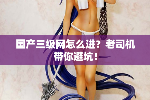 国产三级网怎么进？老司机带你避坑！