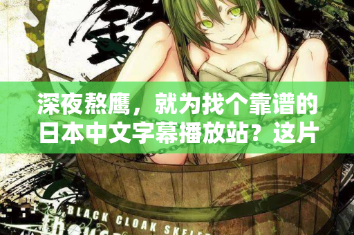 深夜熬鹰，就为找个靠谱的日本中文字幕播放站？这片指南能救你