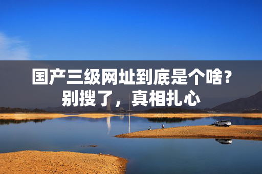 国产三级网址到底是个啥?别搜了,真相扎心 国产三级网址到底是个啥?别搜了,真相扎心