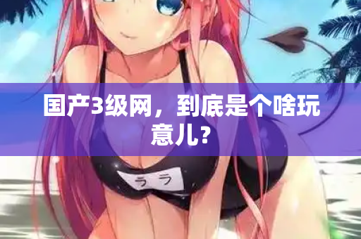 国产3级网，到底是个啥玩意儿？