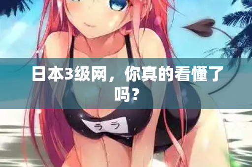 日本3级网，你真的看懂了吗？