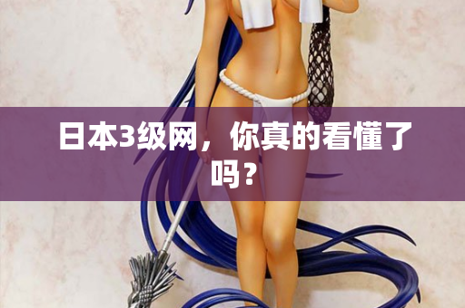 日本3级网，你真的看懂了吗？