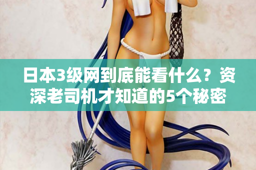 日本3级网到底能看什么？资深老司机才知道的5个秘密