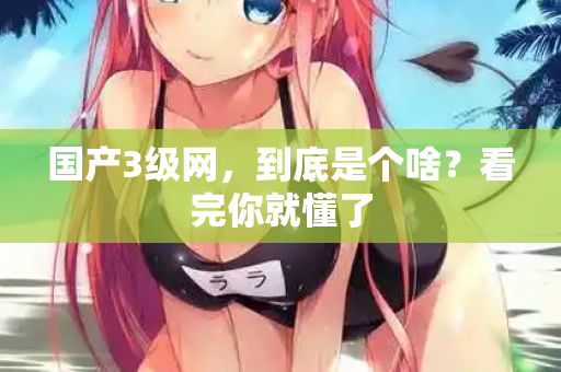 国产3级网,到底是个啥?看完你就懂了 国产3级网,到底是个啥?看完你就懂了