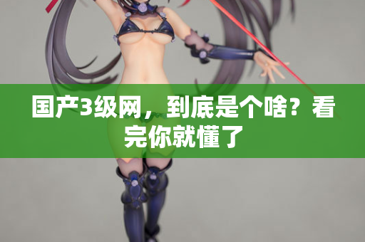 国产3级网,到底是个啥?看完你就懂了 国产3级网,到底是个啥?看完你就懂了