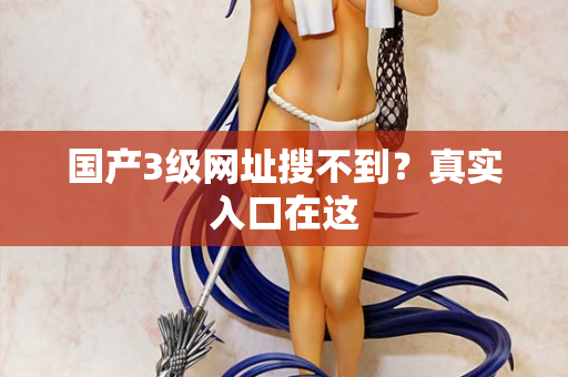 国产3级网址搜不到？真实入口在这
