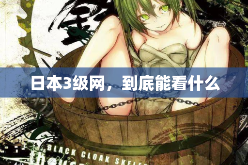 日本3级网,到底能看什么 日本3级网,到底能看什么