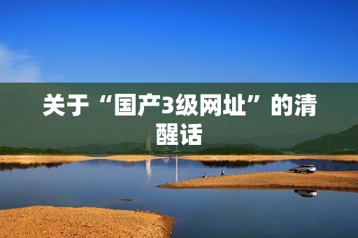 关于“国产3级网址”的清醒话