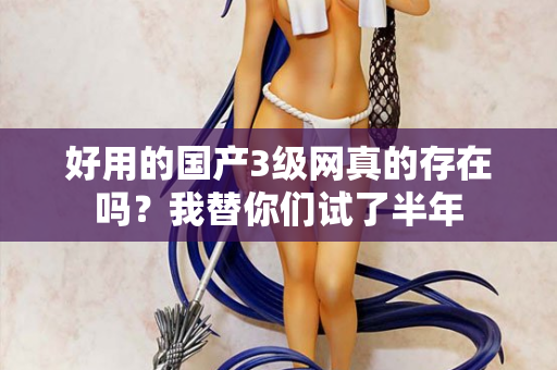 好用的国产3级网真的存在吗?我替你们试了半年 好用的国产3级网真的存在吗?我替你们试了半年
