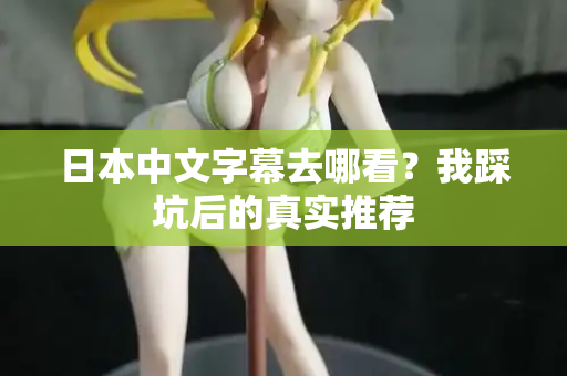 日本中文字幕去哪看?我踩坑后的真实推荐 日本中文字幕去哪看?我踩坑后的真实推荐