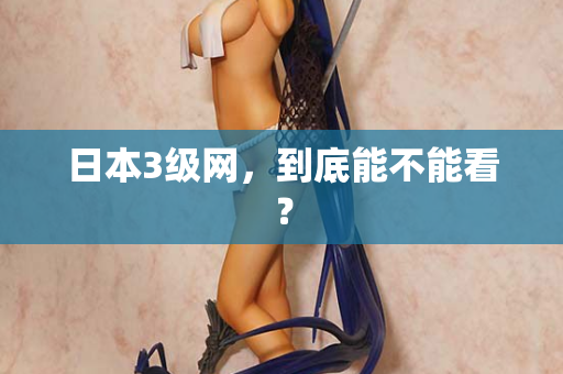 日本3级网,到底能不能看? 日本3级网,到底能不能看?