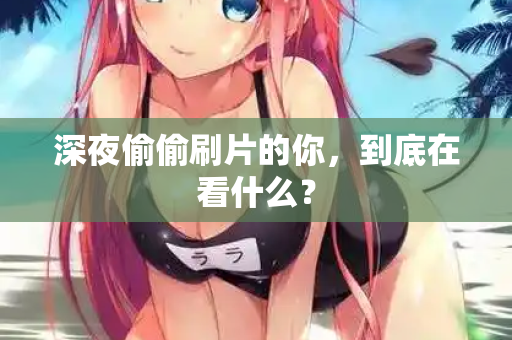 深夜偷偷刷片的你,到底在看什么? 深夜偷偷刷片的你,到底在看什么?