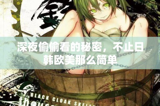 深夜偷偷看的秘密,不止日韩欧美那么简单 深夜偷偷看的秘密,不止日韩欧美那么简单