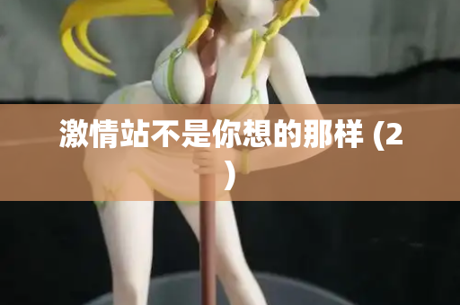 激情站不是你想的那样 (2)