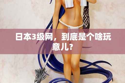 日本3级网，到底是个啥玩意儿？