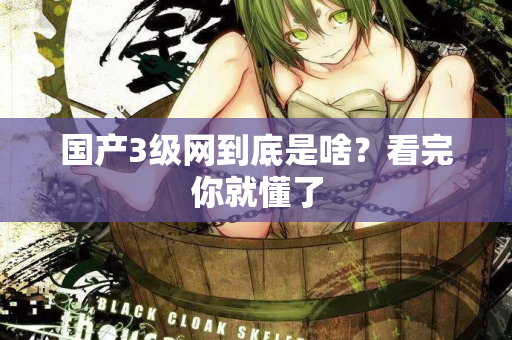 国产3级网到底是啥？看完你就懂了