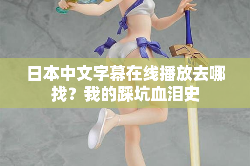 日本中文字幕在线播放去哪找?我的踩坑血泪史 日本中文字幕在线播放去哪找?我的踩坑血泪史