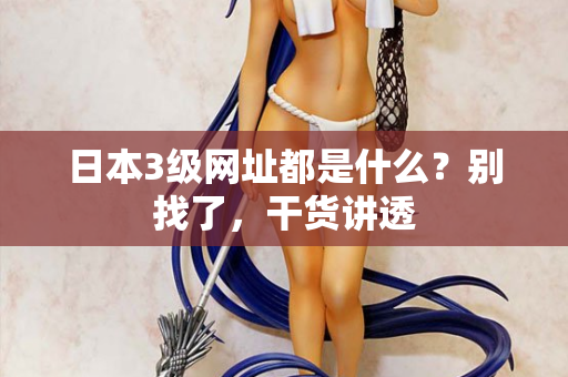 日本3级网址都是什么？别找了，干货讲透