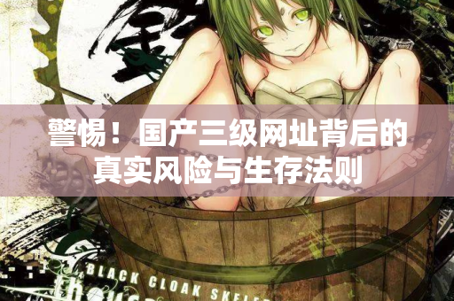 警惕！国产三级网址背后的真实风险与生存法则