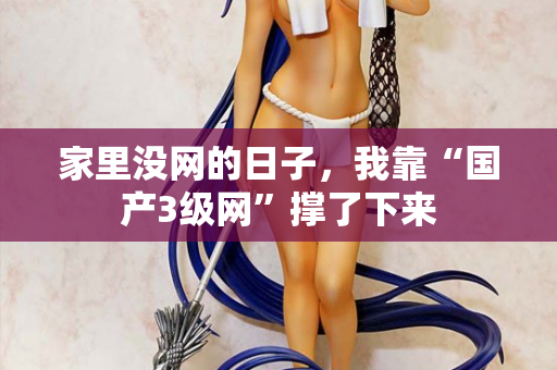 家里没网的日子,我靠“国产3级网”撑了下来 家里没网的日子,我靠“国产3级网”撑了下来