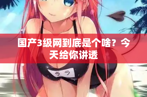 国产3级网到底是个啥?今天给你讲透 国产3级网到底是个啥?今天给你讲透