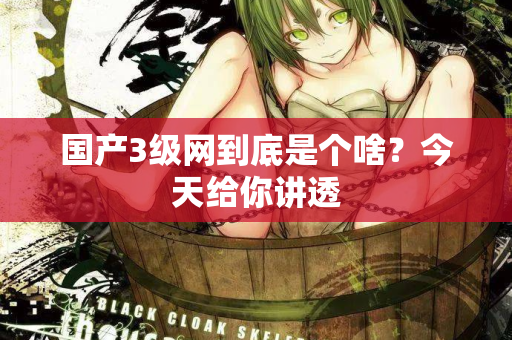 国产3级网到底是个啥?今天给你讲透 国产3级网到底是个啥?今天给你讲透