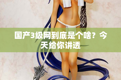 国产3级网到底是个啥?今天给你讲透 国产3级网到底是个啥?今天给你讲透