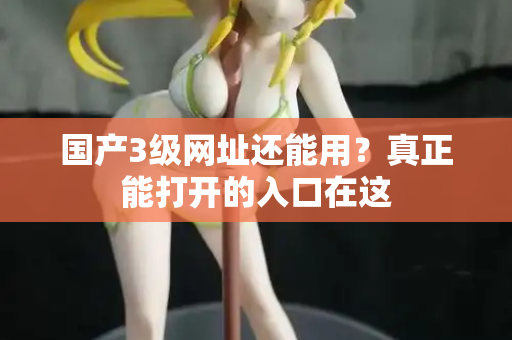 国产3级网址还能用?真正能打开的入口在这 国产3级网址还能用?真正能打开的入口在这