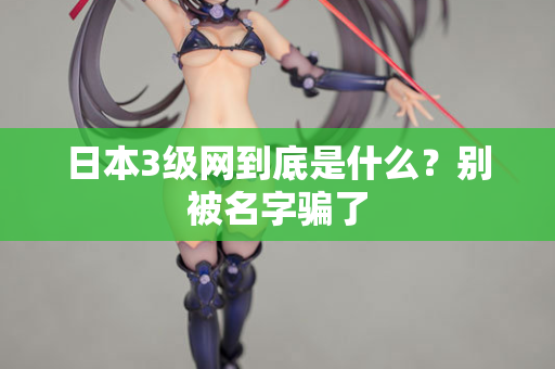 日本3级网到底是什么？别被名字骗了