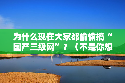 为什么现在大家都偷偷搞“国产三级网”？（不是你想的那样）