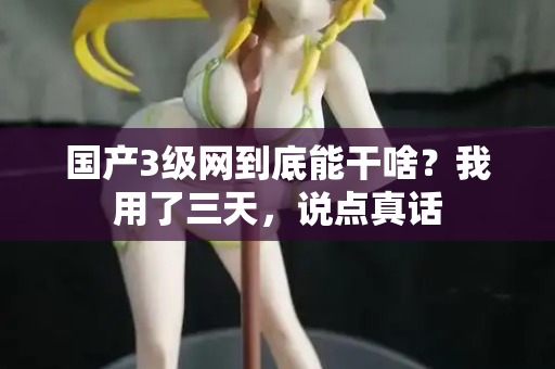 国产3级网到底能干啥?我用了三天,说点真话 国产3级网到底能干啥?我用了三天,说点真话